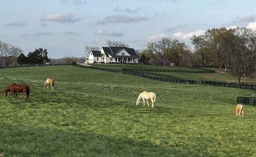 Casa a Springfield, Tennessee, Stati Uniti 1