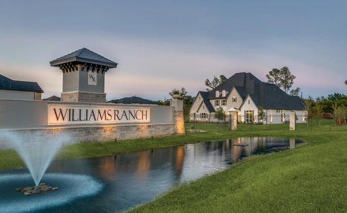 House in Lewisville, Texas, United States 1