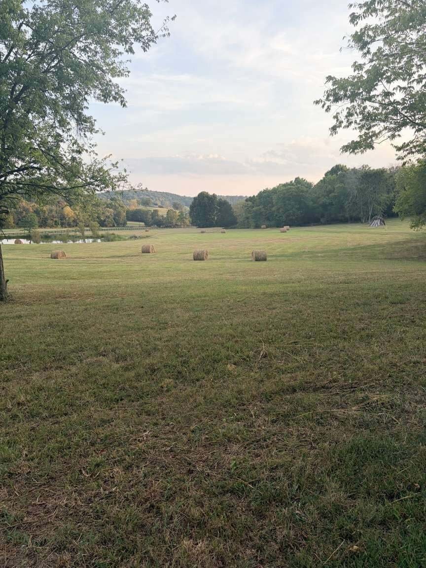 Co Op in Lebanon, Tennessee, United States 4 - 17795789