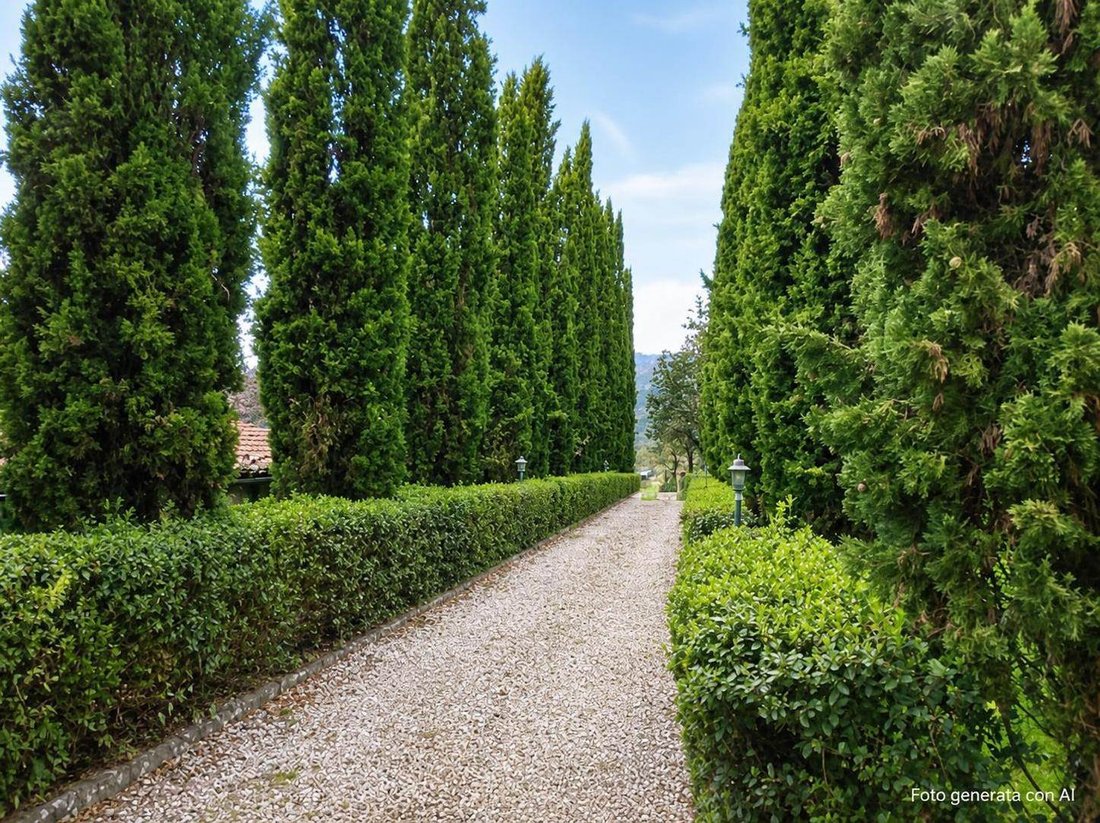 Casa di campagna a Vicchio, Toscana, Italia 4 - 18911212
