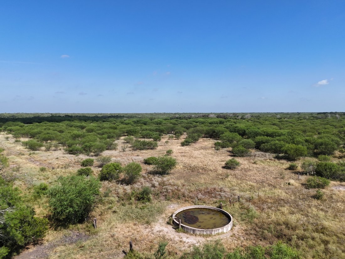 Farm Ranch in Alice, Texas, United States 4 - 18905155