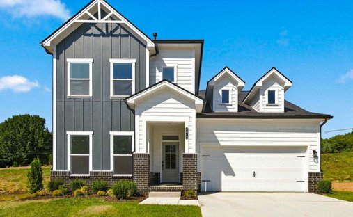 House in Smyrna, Tennessee, United States 1