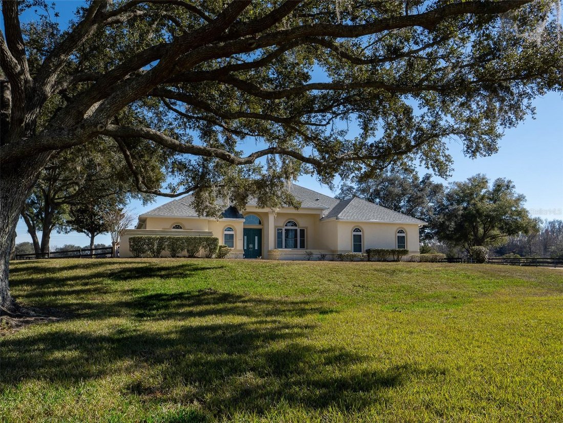 Azienda agricola a Ocala, Florida, Stati Uniti 2 - 18909079