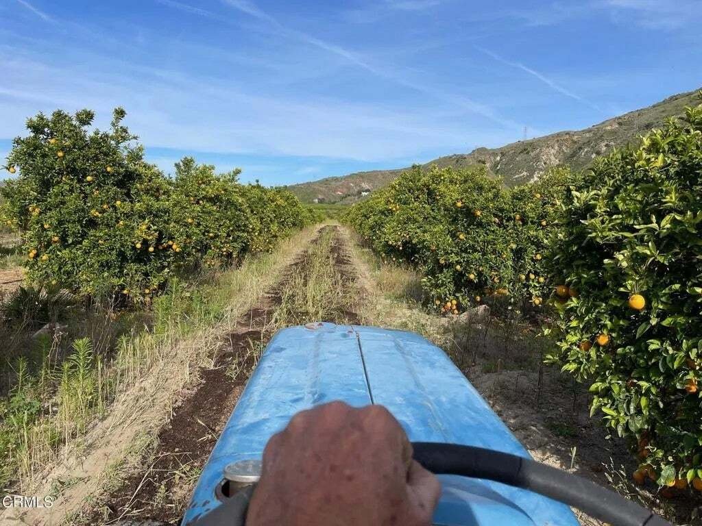 Otros en Fillmore, California, Estados Unidos 5 - 18910055