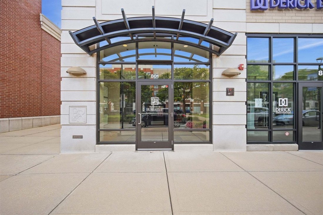 Condo in Burr Ridge, Illinois, United States 2 - 18915493