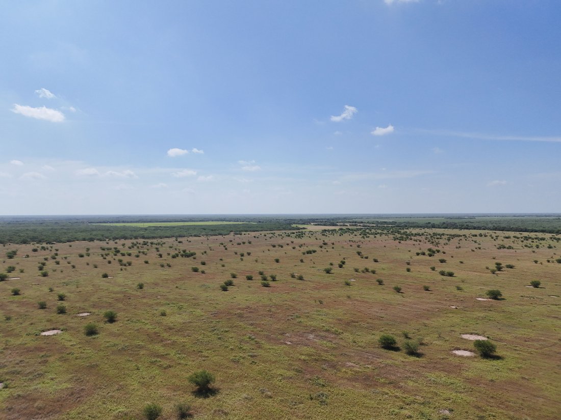 Farm Ranch in Alice, Texas, United States 2 - 18905155