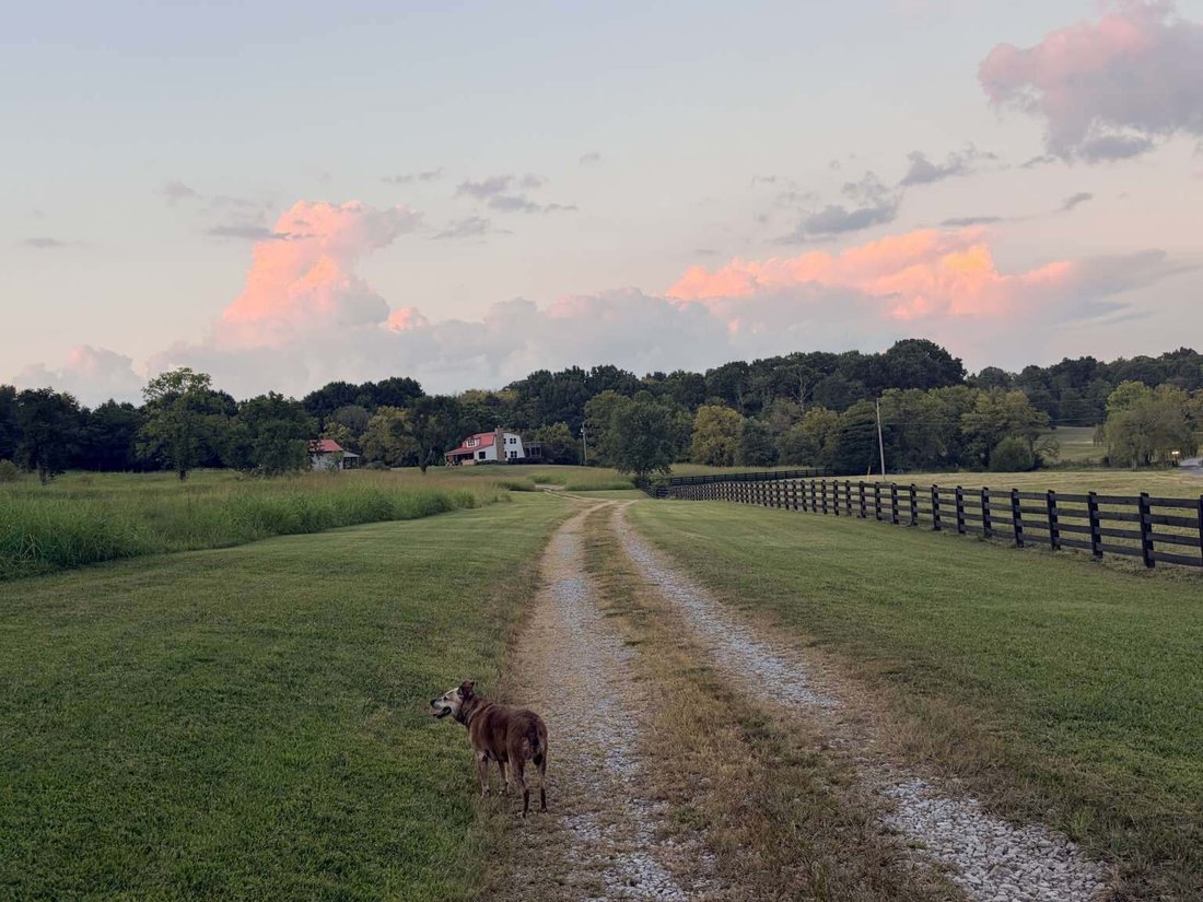 Co Op in Lebanon, Tennessee, United States 3 - 17795789