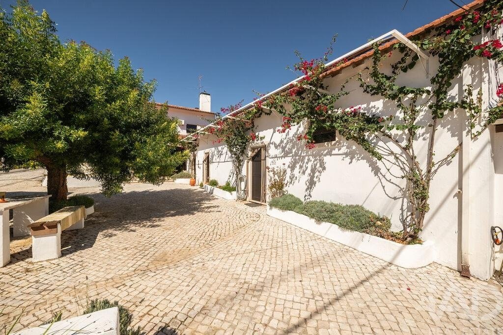 Farm Ranch in Ferreira do Zezere, Santarem District, Portugal 5 - 18919303