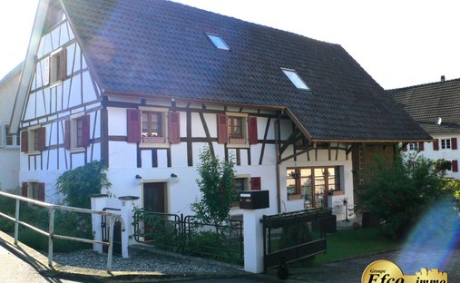 House in Hagenthal-le-Haut, Grand Est, France 1