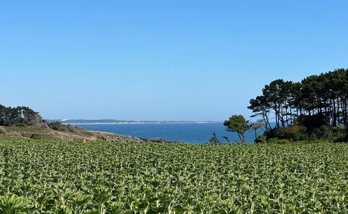 House in Clohars-Carnoët, Brittany, France 1