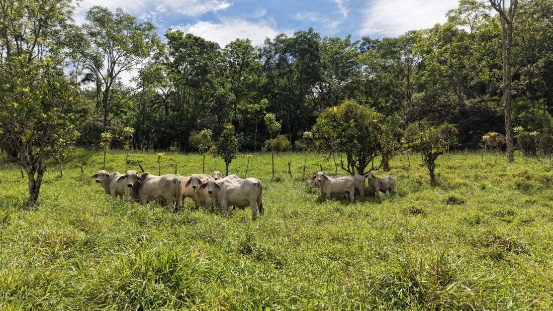 Land in Rivas, San José Province, Costa Rica 4 - 18914165