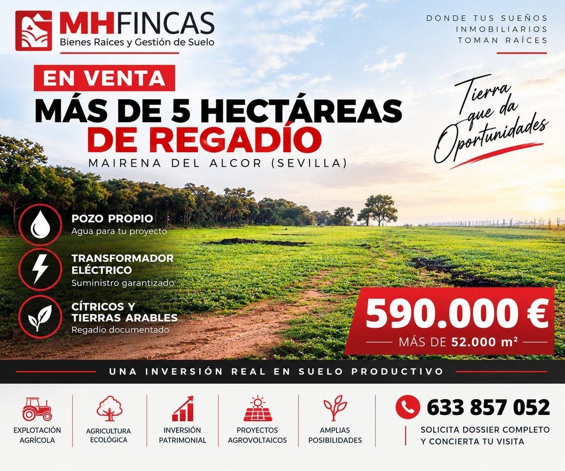 Land in Carmona, Andalusia, Spain 1 - 18913473