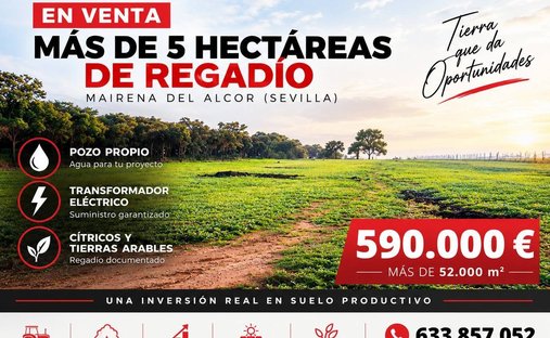 Land in Carmona, Andalusien, Spanien 1