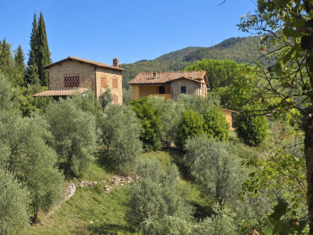 Landhaus in Sankt Paul in Chianti - Poggio alla Croce, Greve in Chianti, Toskana 1 - 18424022
