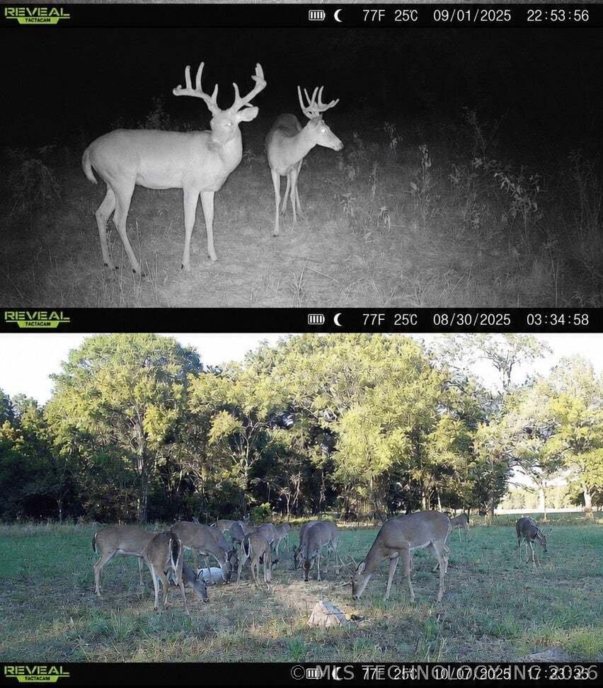 House in Asher, Oklahoma, United States 2 - 18905480