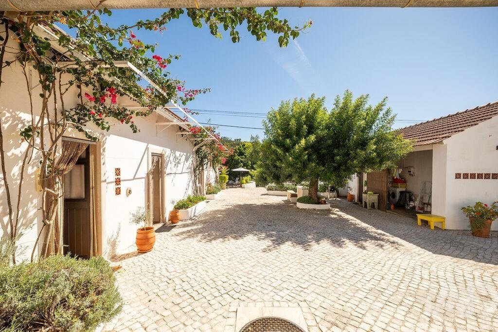 Farm Ranch in Ferreira do Zezere, Santarem District, Portugal 2 - 18919303