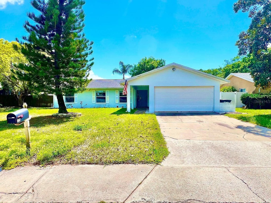 House in Safety Harbor, Florida, United States 1 - 18916879