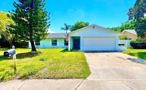 Maison à Safety Harbor, Floride, États-Unis 1