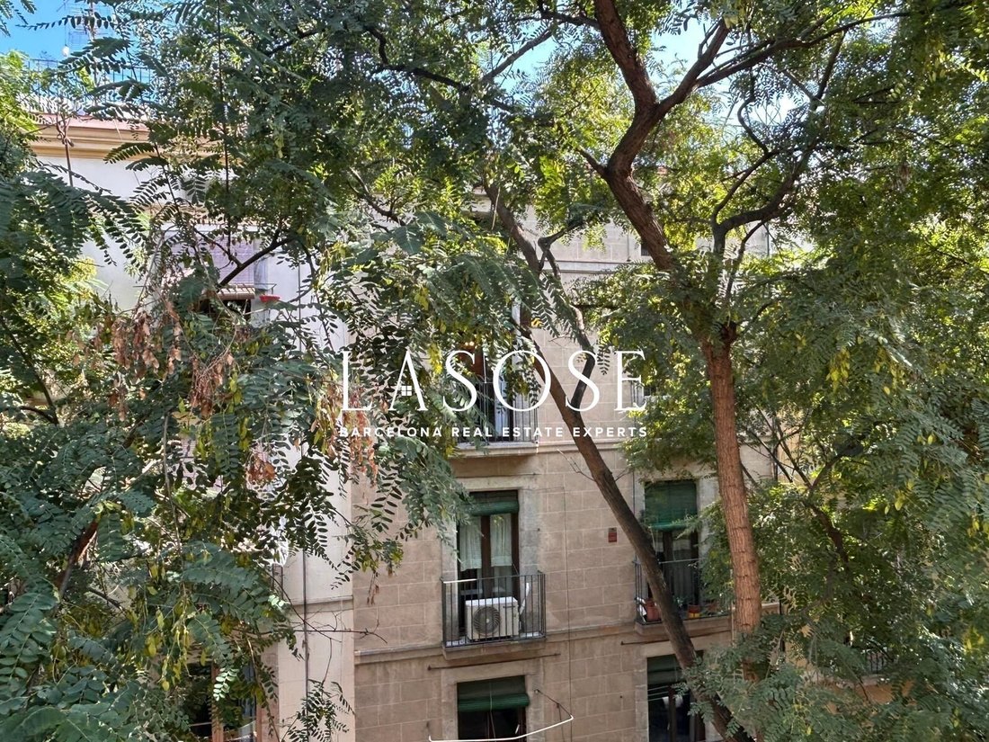 Apartment in Ciutat Vella, Barcelona, Spain 5 - 18910570