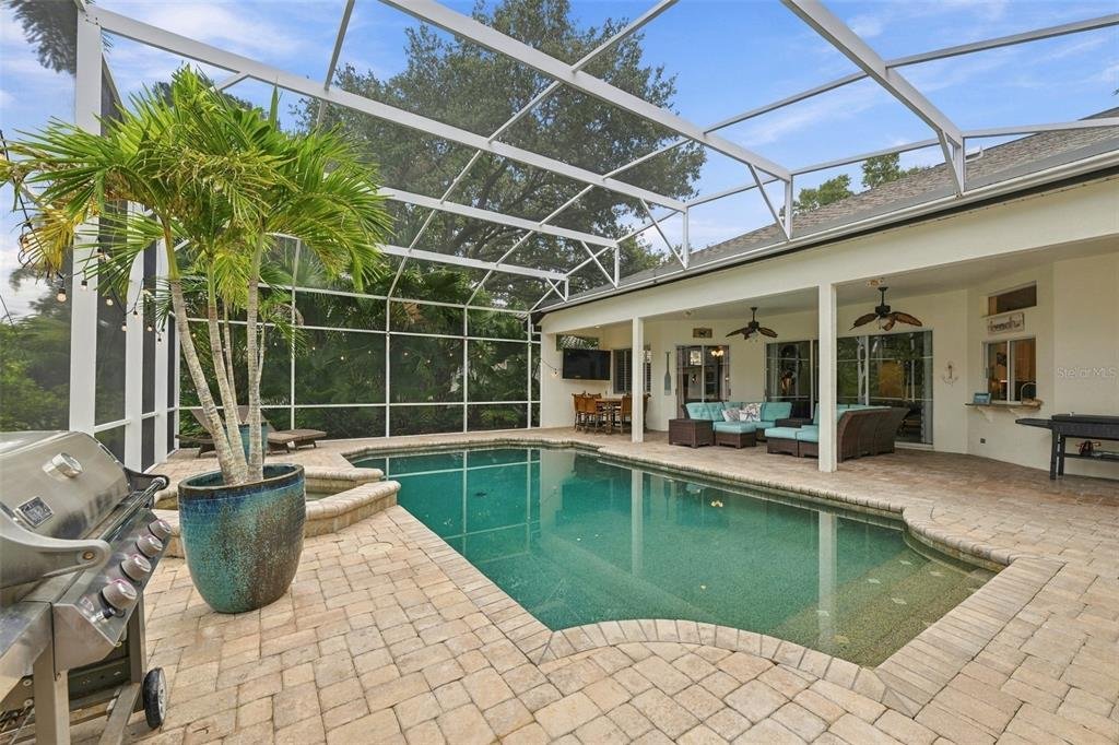 House in Palm Harbor, Florida, United States 2 - 18905139