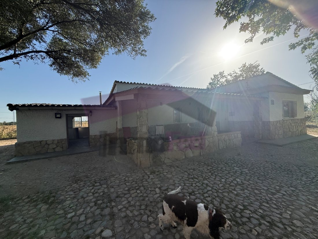 Haus in Fuente el Saz de Jarama, Autonome Gemeinschaft Madrid, Spanien 2 - 18916101