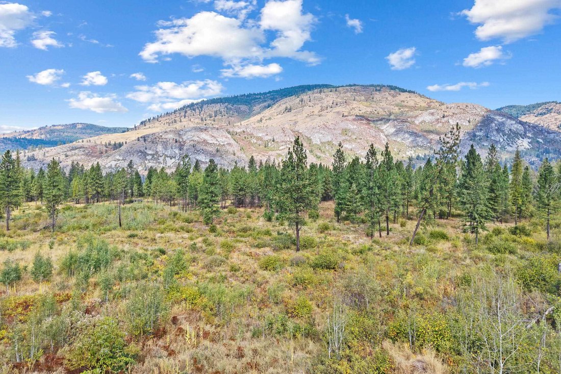 Terreno a Kettle Falls, Washington, Stati Uniti 5 - 18921584