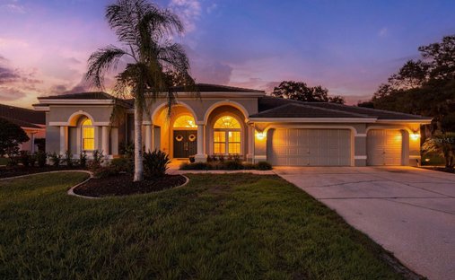 House in Tarpon Springs, Florida, United States 1