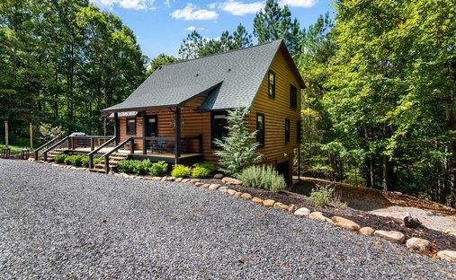 Casa a Mineral Bluff, Georgia, Stati Uniti 1