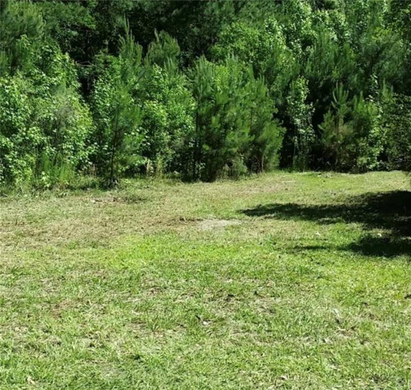 Land in Richmond Hill, Georgia, United States 1 - 18827033