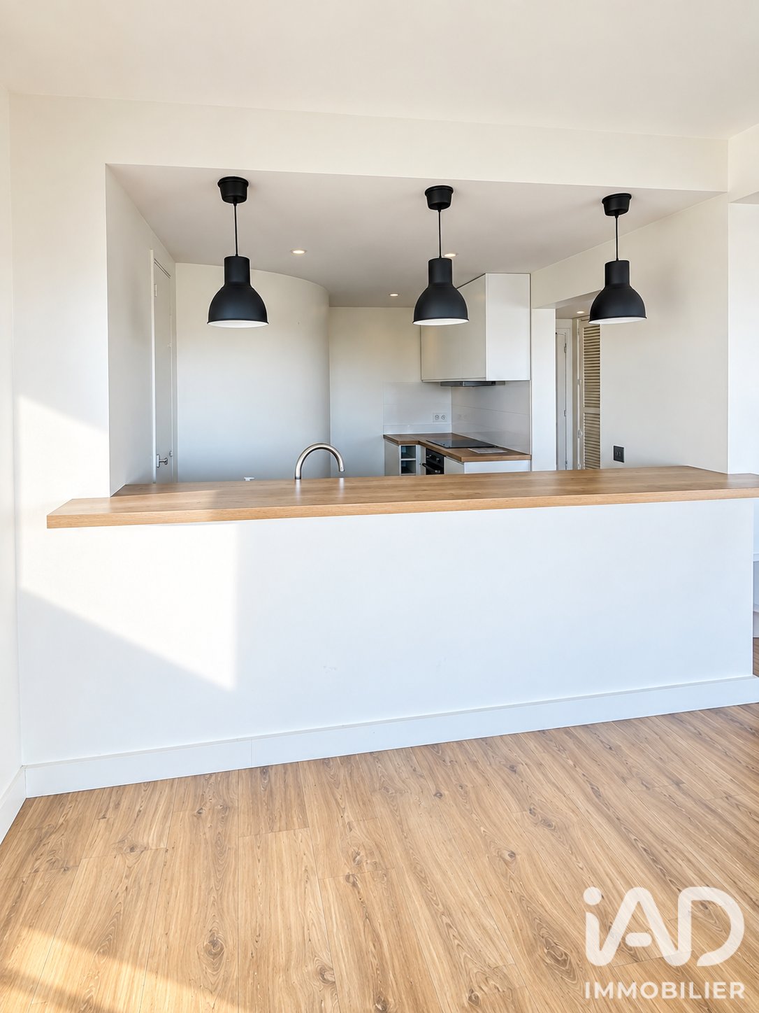 Apartment in Emeriau-Zola, Paris 15e Arrondissement, Paris 4 - 18916551