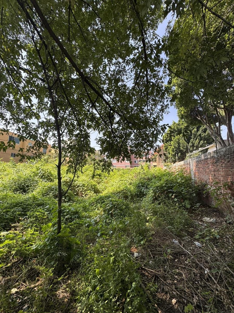 Land in Santa Catarina Yecahuitzotl, Mexico City, Mexico 3 - 18907059
