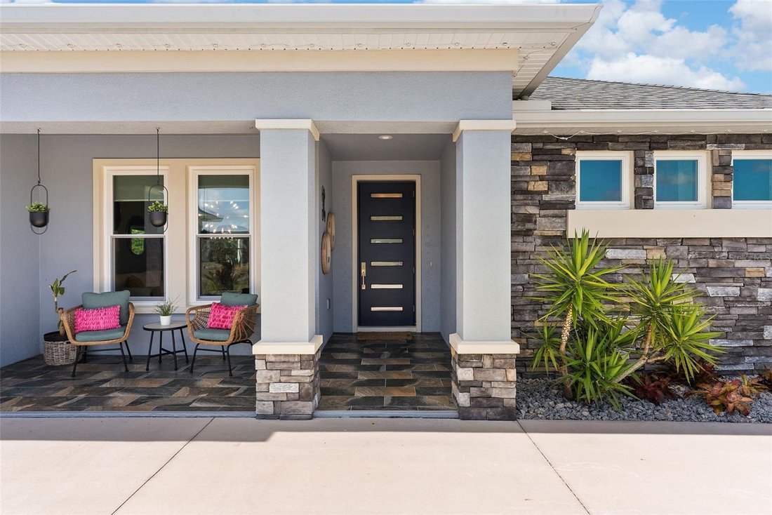 House in Wimauma, Florida, United States 5 - 18909138