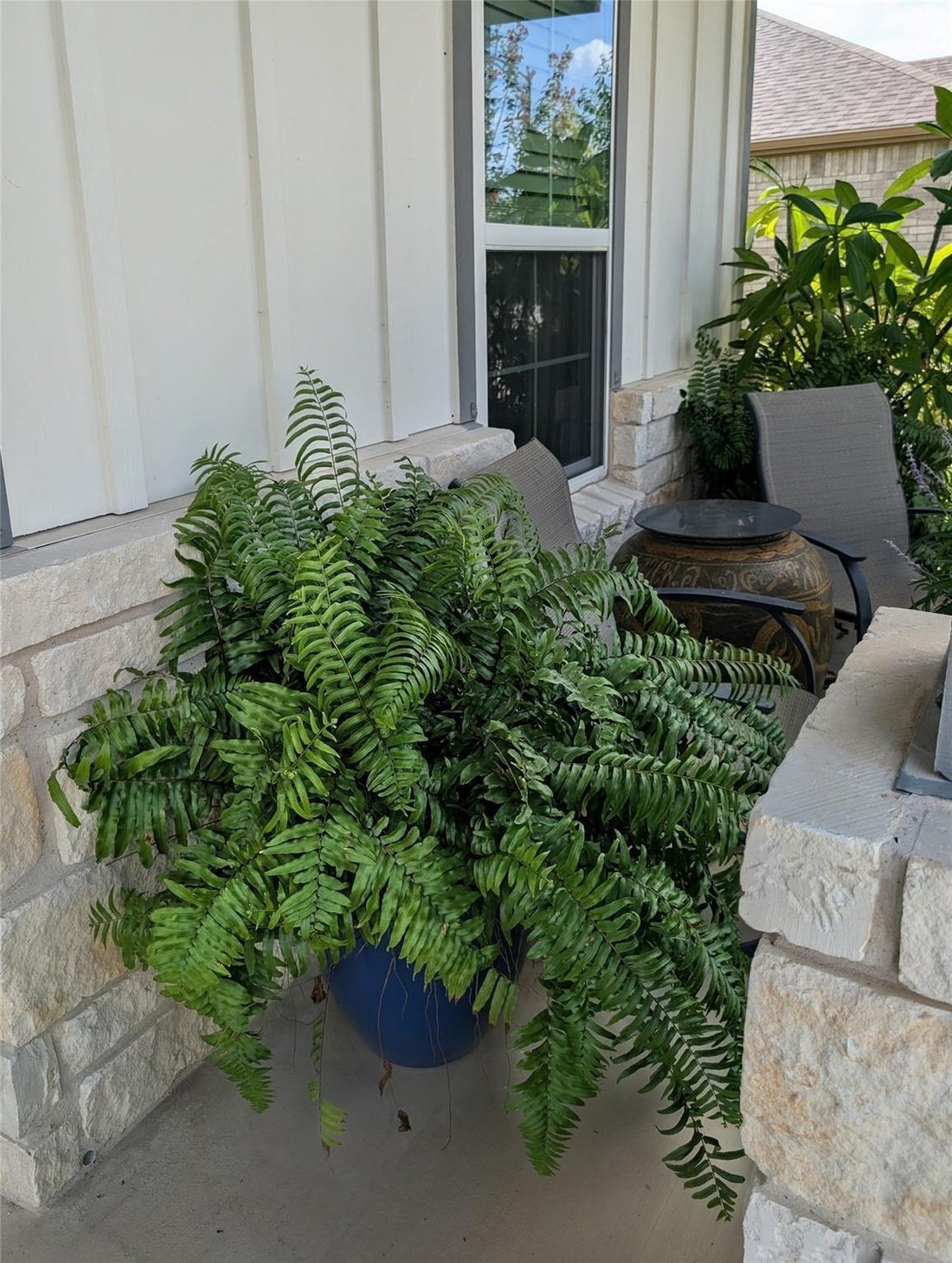 House in Georgetown, Texas, United States 3 - 18909393