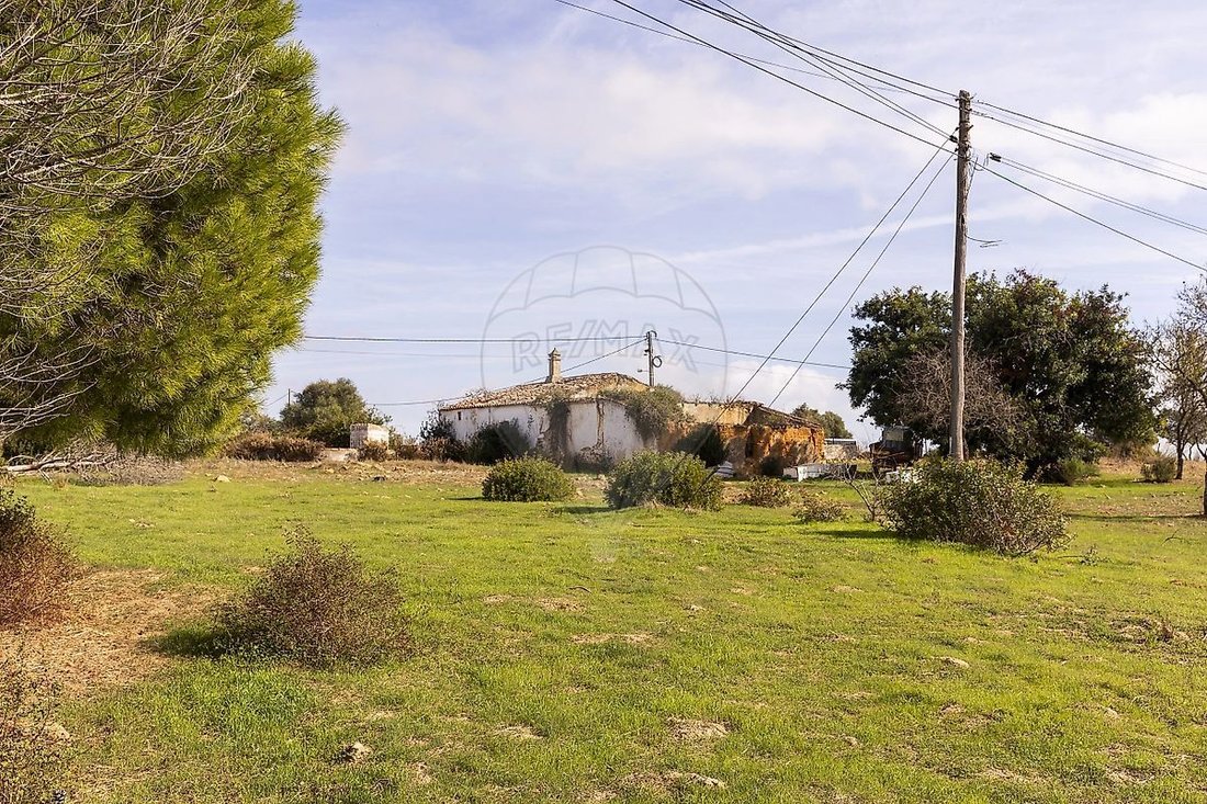 Farm Ranch in Lagoa e Carvoeiro, Algarve, Portugal 5 - 18911457