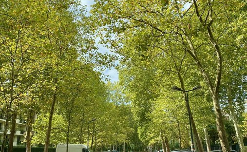 Apartment in Nogent-sur-Marne, Ile-de-France, France 1