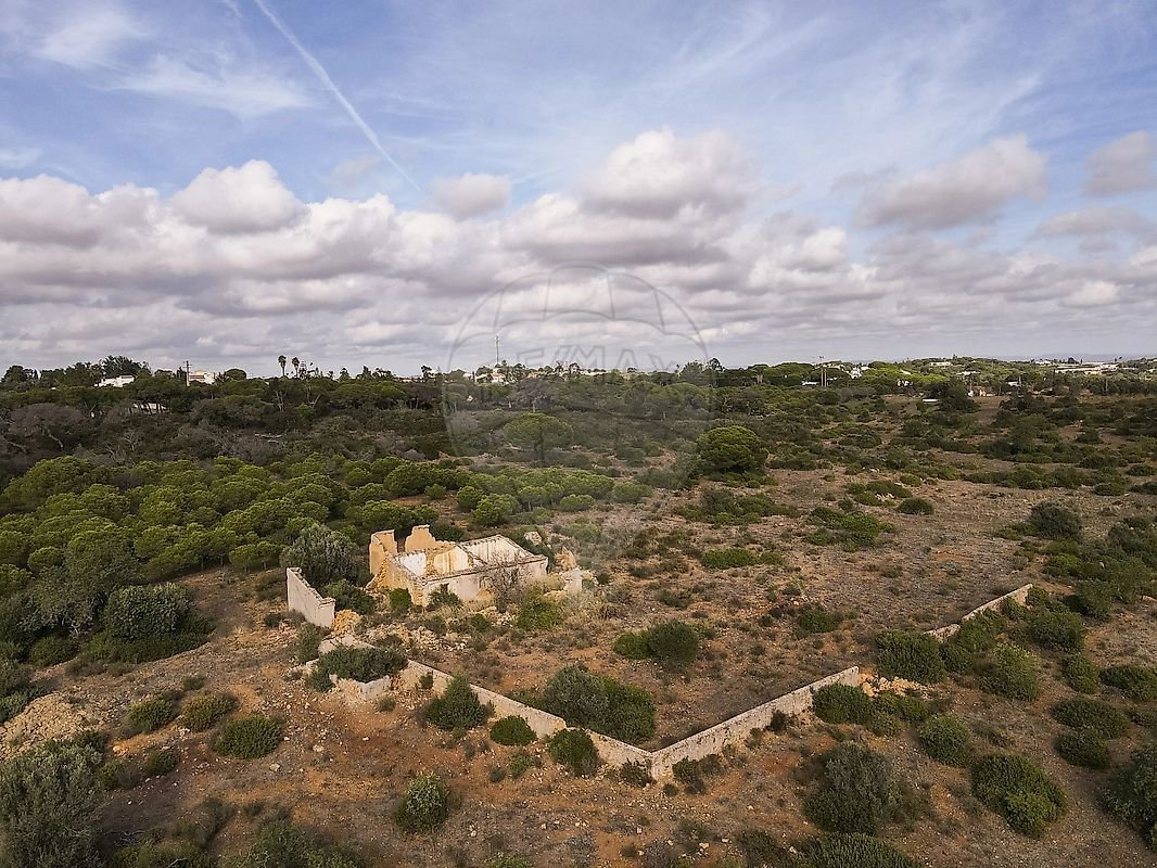 Farm Ranch in Lagoa e Carvoeiro, Algarve, Portugal 1 - 18911457