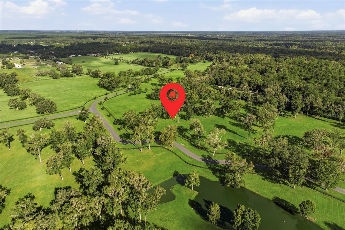 House in Ocala, Florida, United States 4 - 18909049