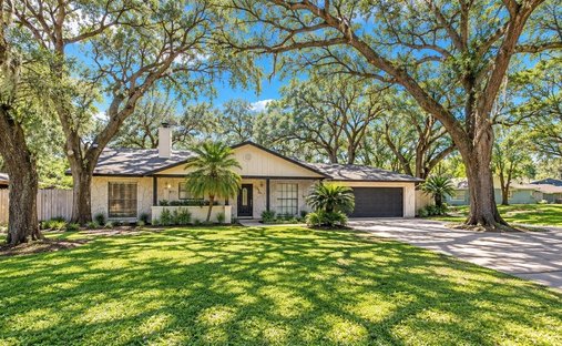 House in Brandon, Florida, United States 1