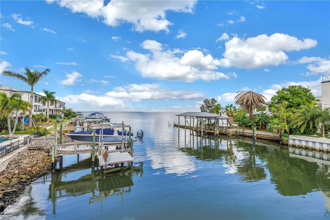 House in Tampa, Florida, United States 3 - 18905983