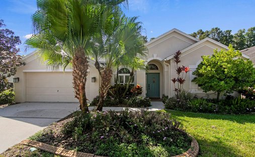 House in Tampa, Florida, United States 1