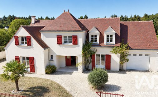 Casa a Chateauneuf-sur-Loire, Centro-Val della Loira, Francia 1