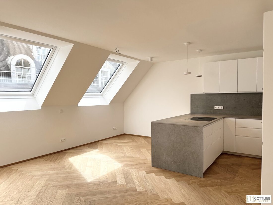 Penthouse in Vienna, Wien, Austria 4 - 18919239