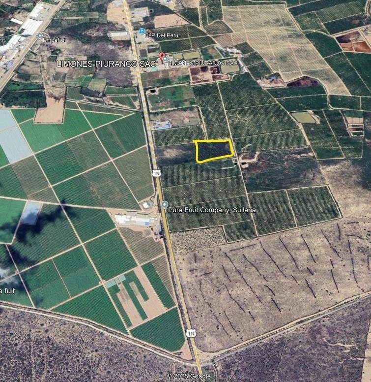 Land in Sullana, Piura, Peru 4 - 18905389