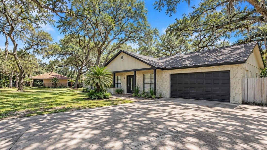 House in Brandon, Florida, United States 2 - 18909161