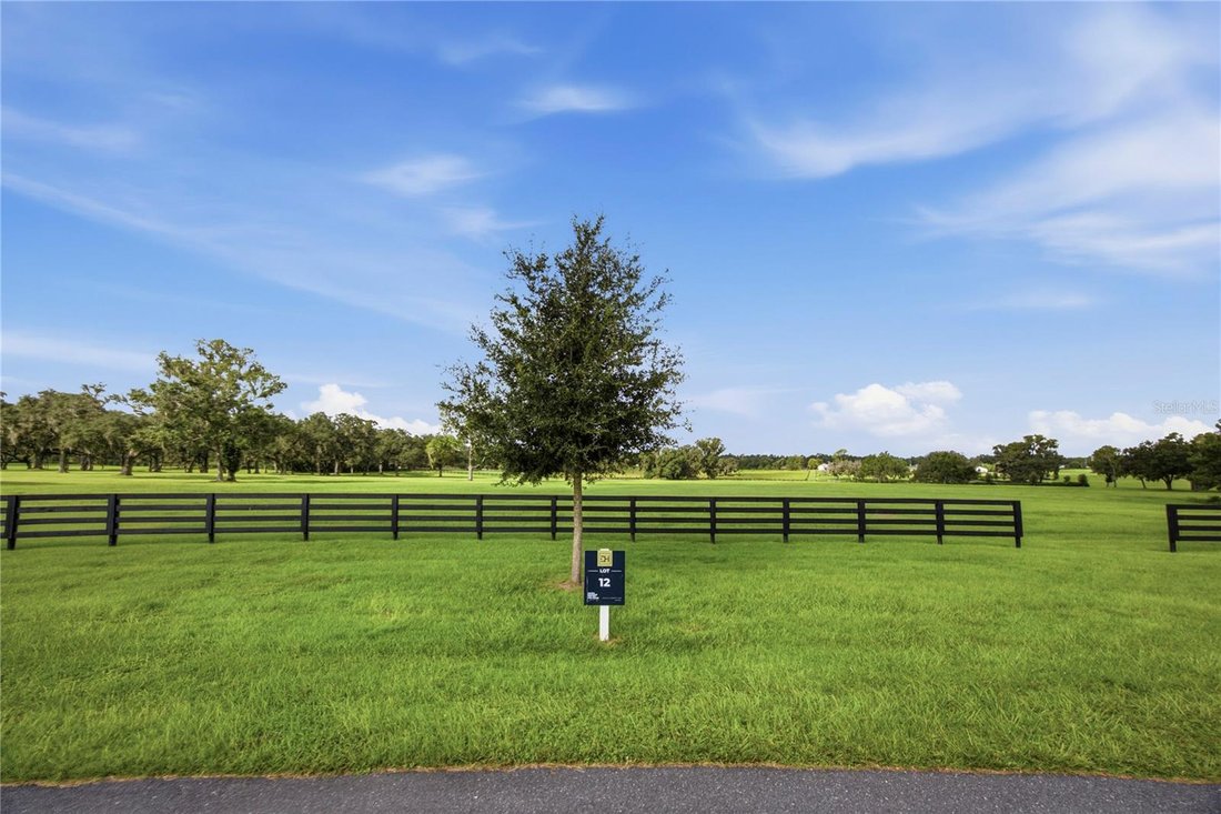 House in Ocala, Florida, United States 5 - 18909047