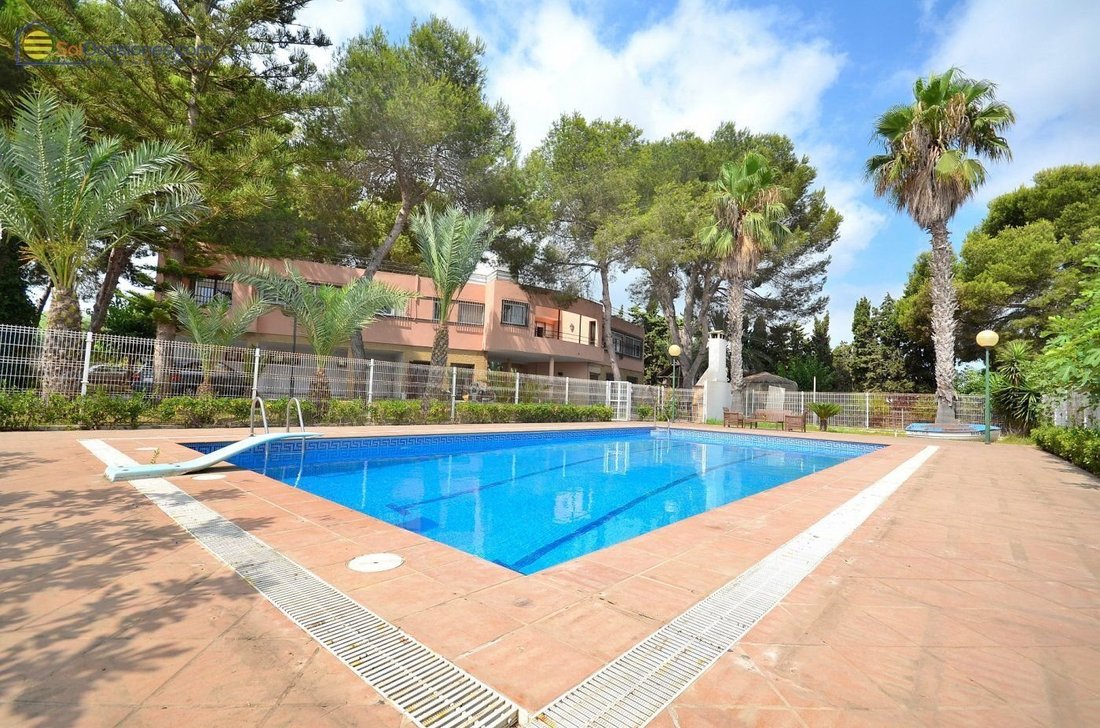 Casa a Torrevieja, Comunità Valenzana, Spagna 2 - 18921299