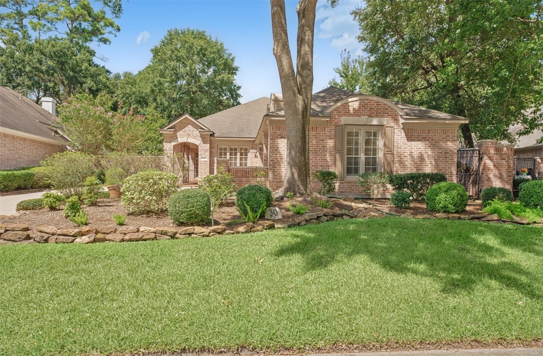 House in The Woodlands, Texas, United States 1 - 18906188