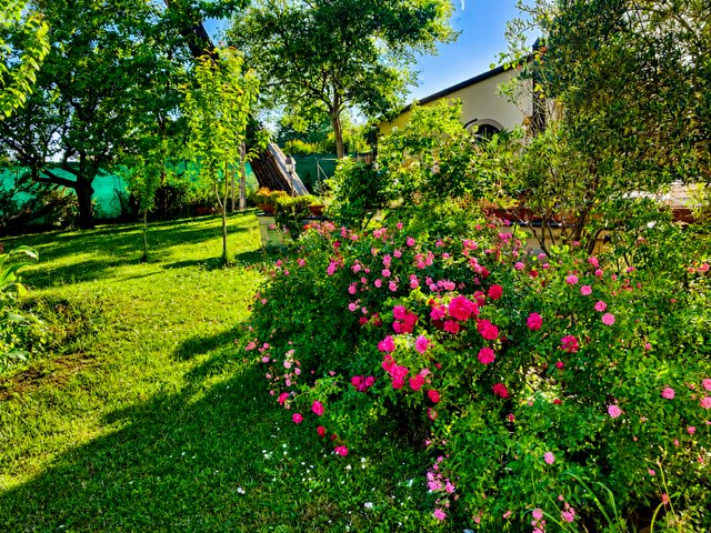 Villa in Centro, Cascina, Tuscany 5 - 18909333