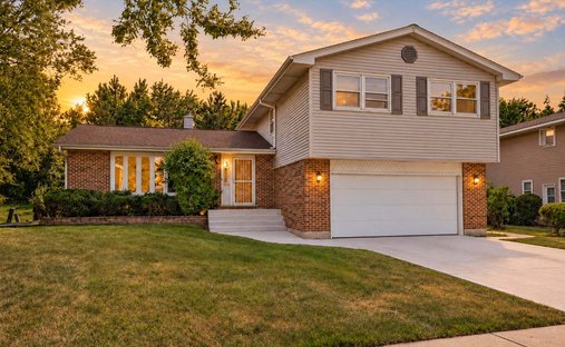 House in Elk Grove Village, Illinois, United States 1