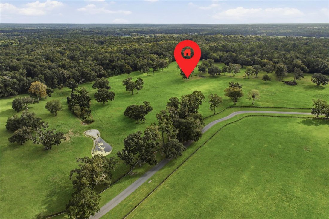 House in Ocala, Florida, United States 3 - 18909046